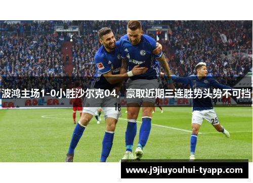波鸿主场1-0小胜沙尔克04，豪取近期三连胜势头势不可挡